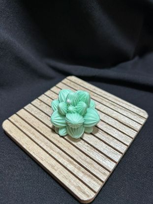 Picture of Succulent Candle 01 – Green