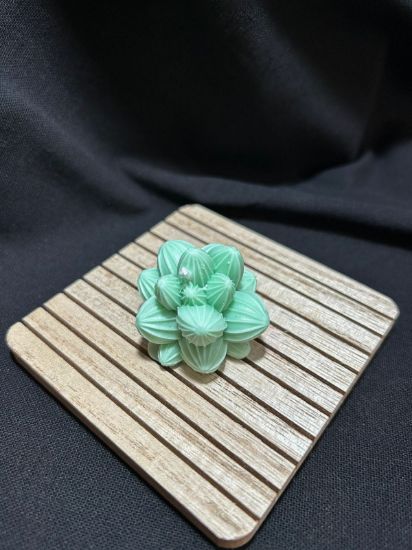 Picture of Succulent Candle 01 – Green