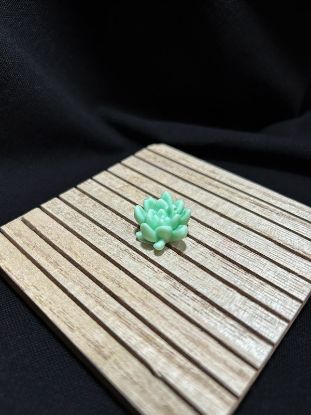Picture of Succulent Candle 02 – Green
