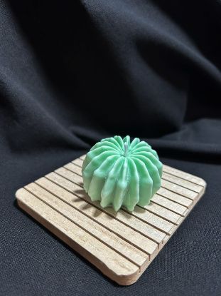 Picture of Succulent Candle 04 – Green