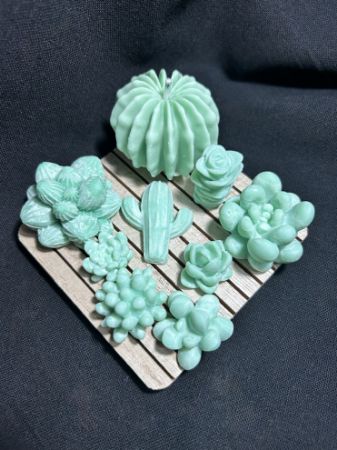 Picture for category Moss & Mist