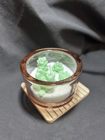 Picture for category Rose / moss and mint